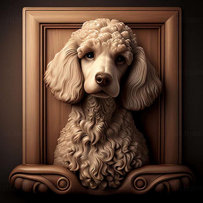 3D model Boy poodle famous animal (STL)